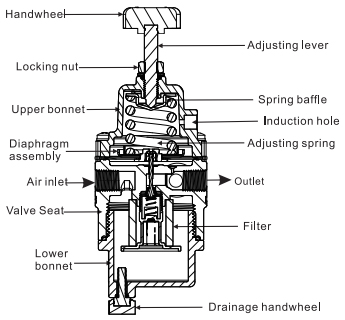 cav 1